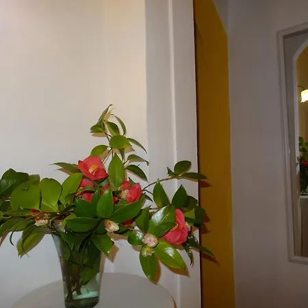 Feriehus Casa Branca Vina Casa De Campo - Ter Monchique