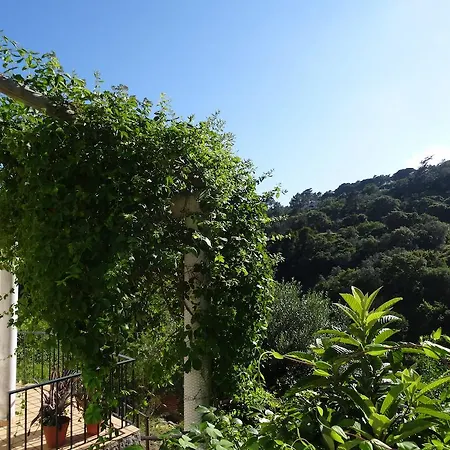 בית נופש Casa Branca Vina Casa De Campo - Ter